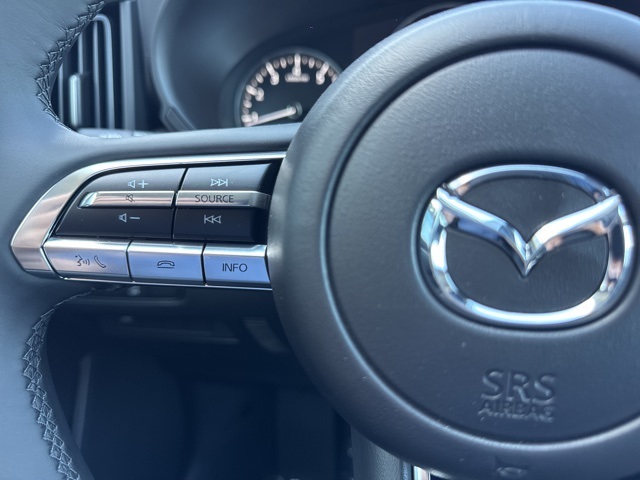 2025 Mazda CX-50 2.5 S Premium photo 20