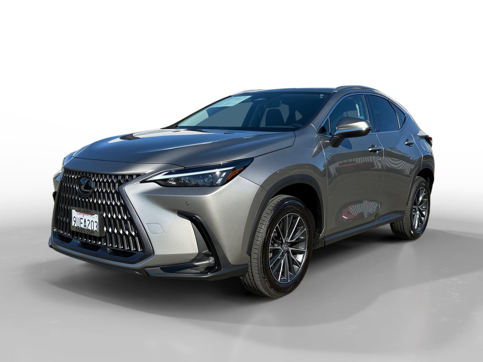 2025 Lexus NX 250's photo