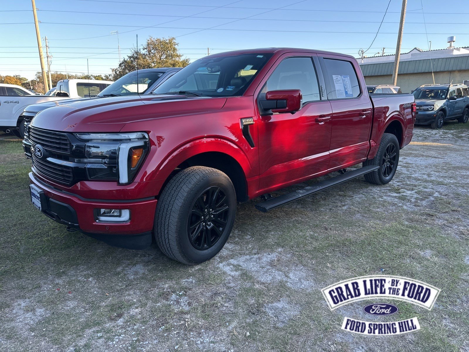 2024 Ford F-150 Platinum's photo
