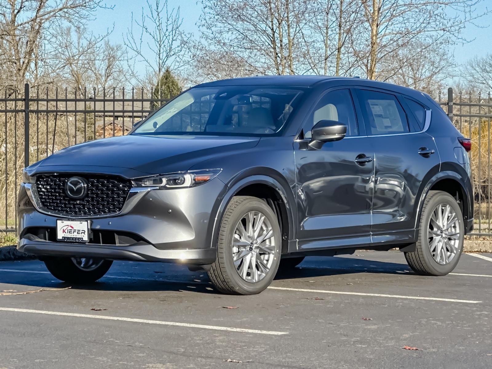 2025 Mazda CX-5 2.5 Premium Plus photo 7