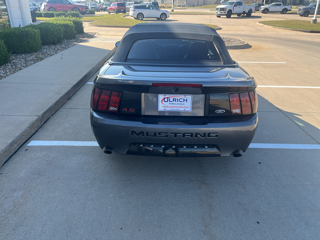 2004 Ford Mustang GT photo 6