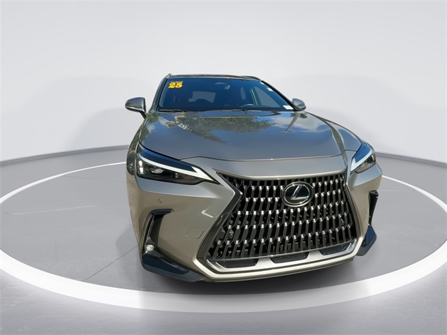 2025 Lexus NX 250 photo 3