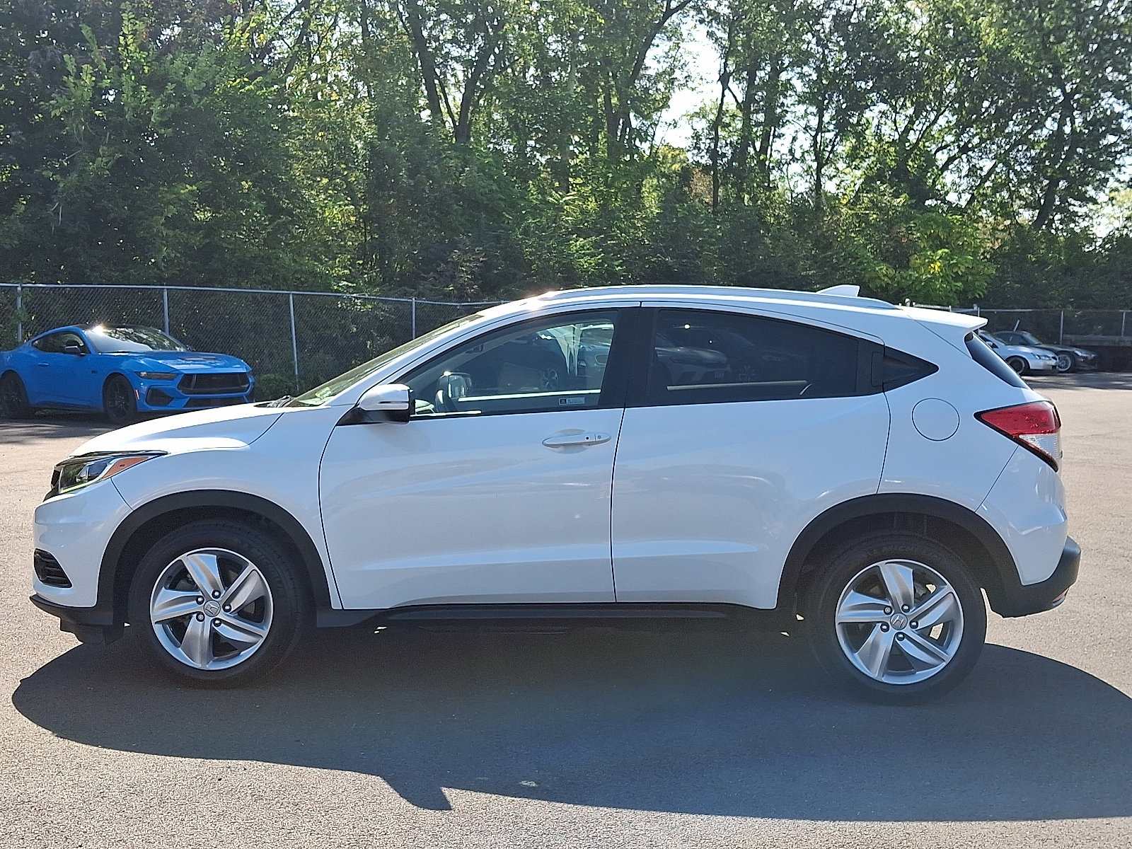 2019 Honda HR-V EX-L photo 3
