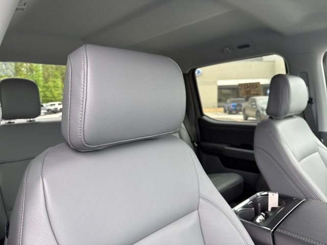 2025 Ford F-150 Lightning photo 14