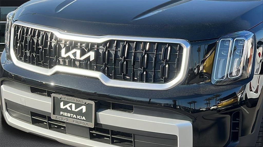 2025 Kia Telluride EX photo 5