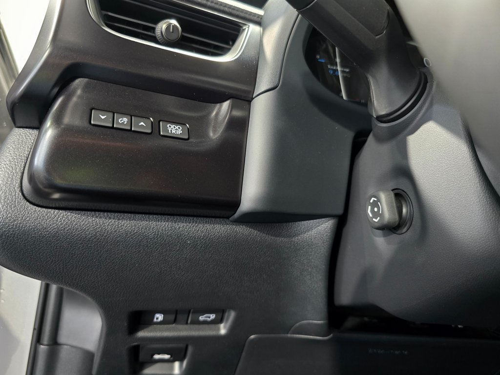 2025 Lexus UX photo 12