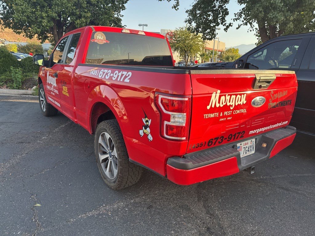 2019 Ford F-150 XL photo 2