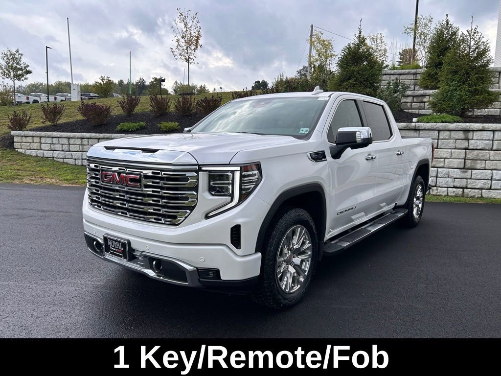 2023 Gmc Sierra 1500 Denali photo 3