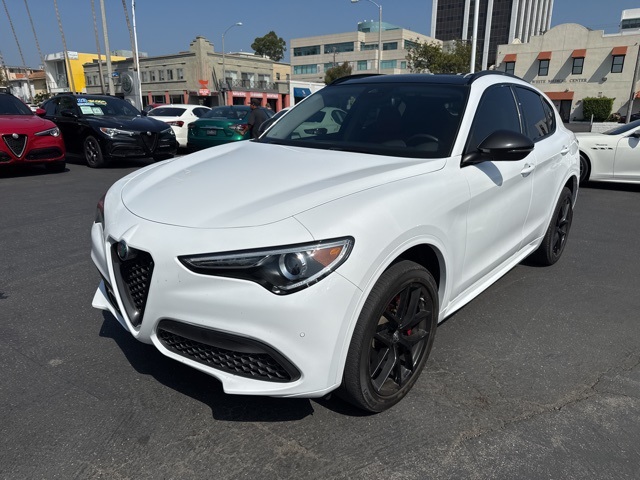 2020 Alfa Romeo Stelvio Base photo 2