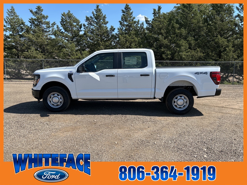 2025 Ford F-150 XL photo 3