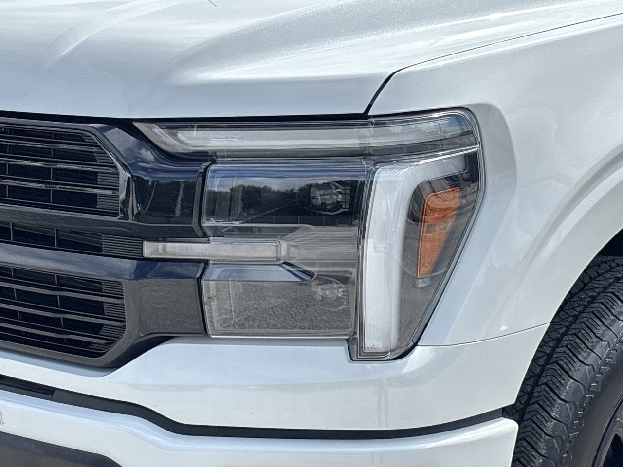 2024 Ford F-150 Platinum photo 5
