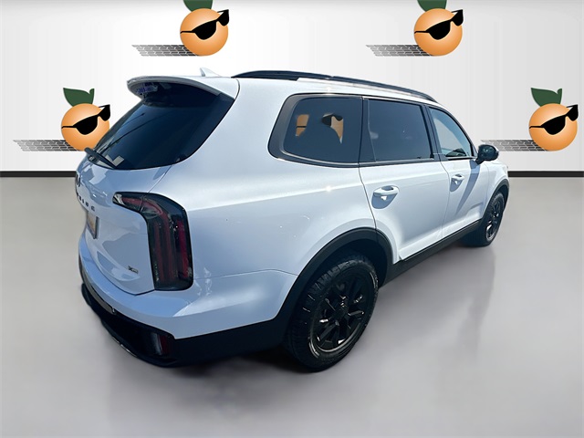 2025 Kia Telluride SX X-Line photo 7