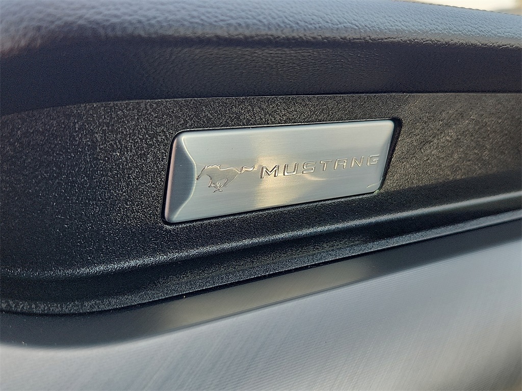 2022 Ford Mustang GT Premium photo 16
