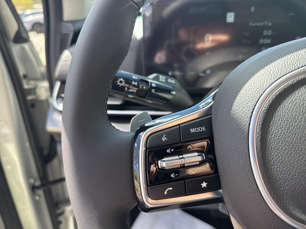 2025 Kia Carnival SX photo 11