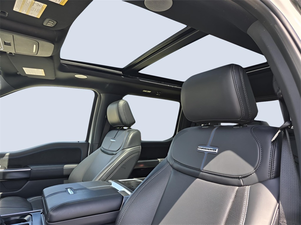 2024 Ford F-150 Platinum photo 9