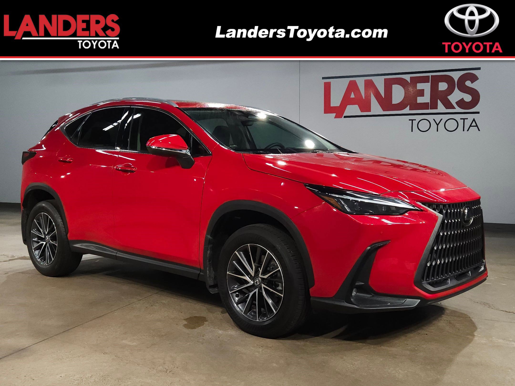 2024 Lexus NX 250's photo
