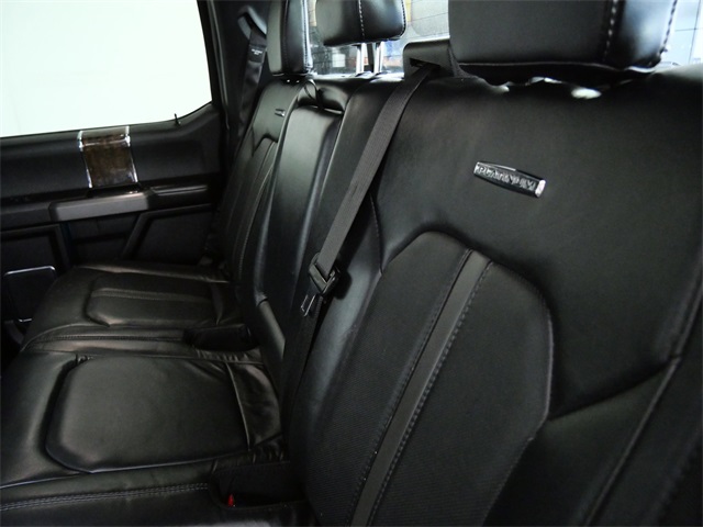 2016 Ford F-150 Platinum photo 13