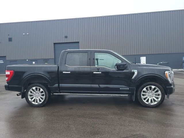 2023 Ford F-150 Limited photo 2