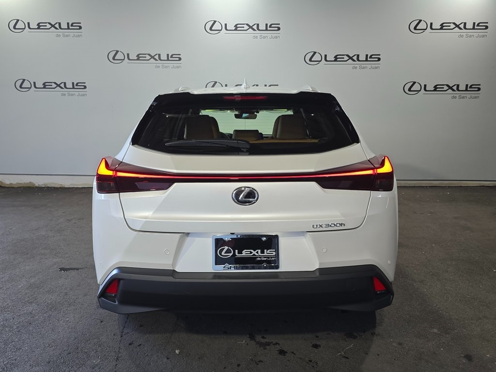 2025 Lexus UX photo 9