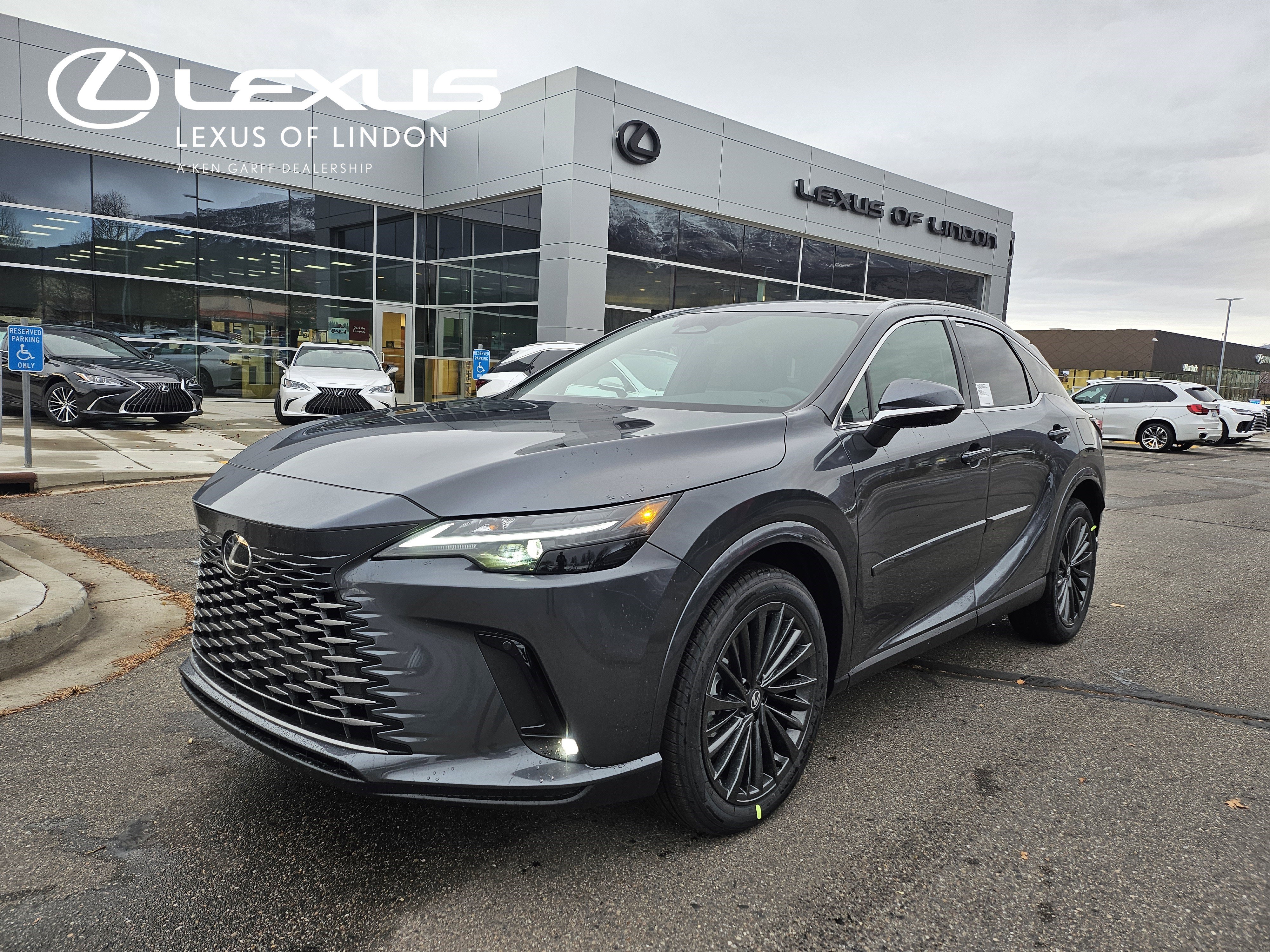 2026 Lexus RX Hybrid 350h's photo