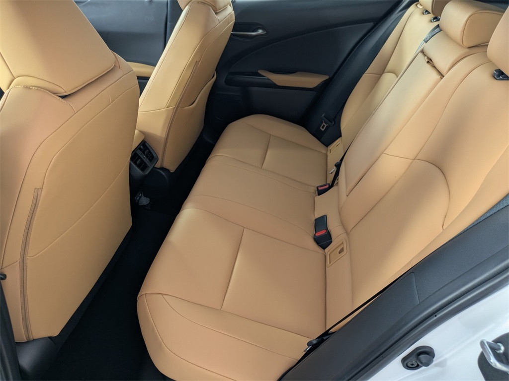 2025 Lexus UX photo 14