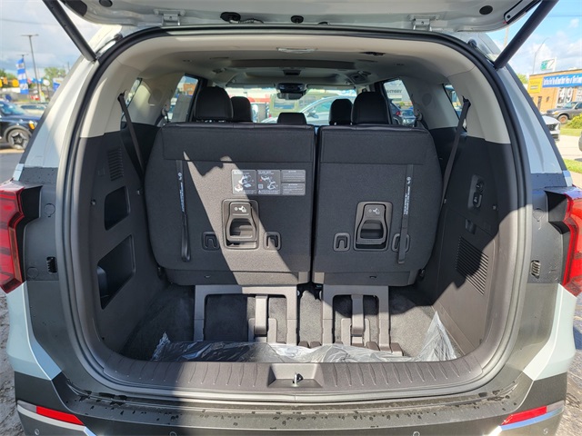 2026 Kia Carnival SX Prestige photo 14
