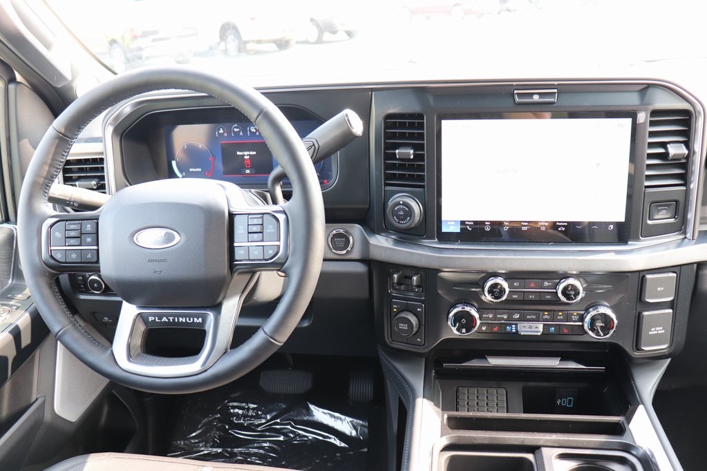 2025 Ford F-250 Platinum photo 2