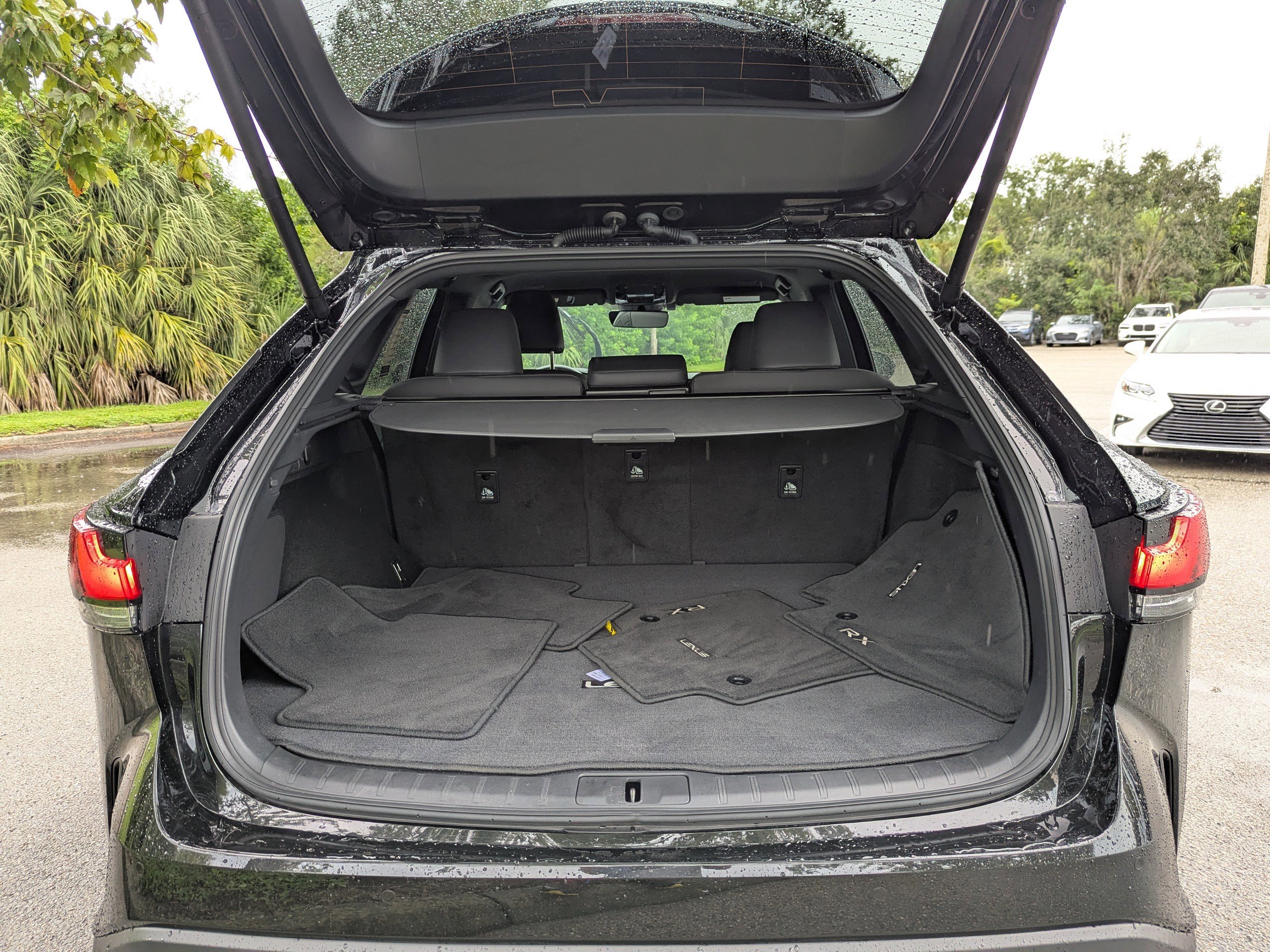 2024 Lexus RX 350 photo 10
