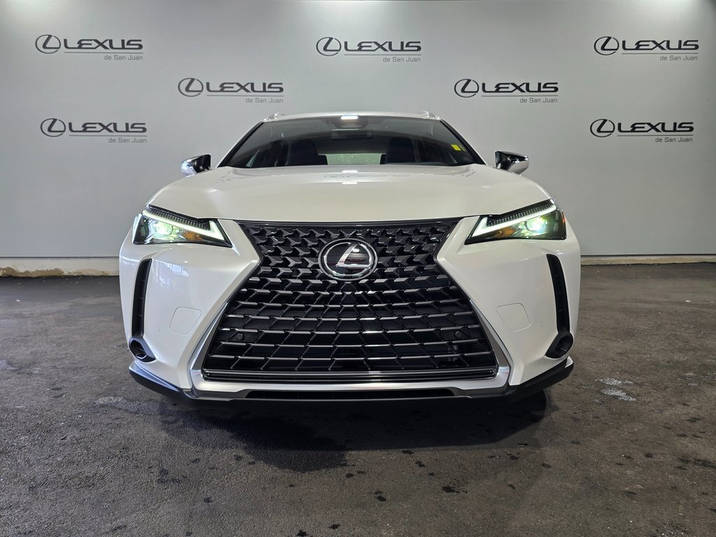 2025 Lexus UX photo 6