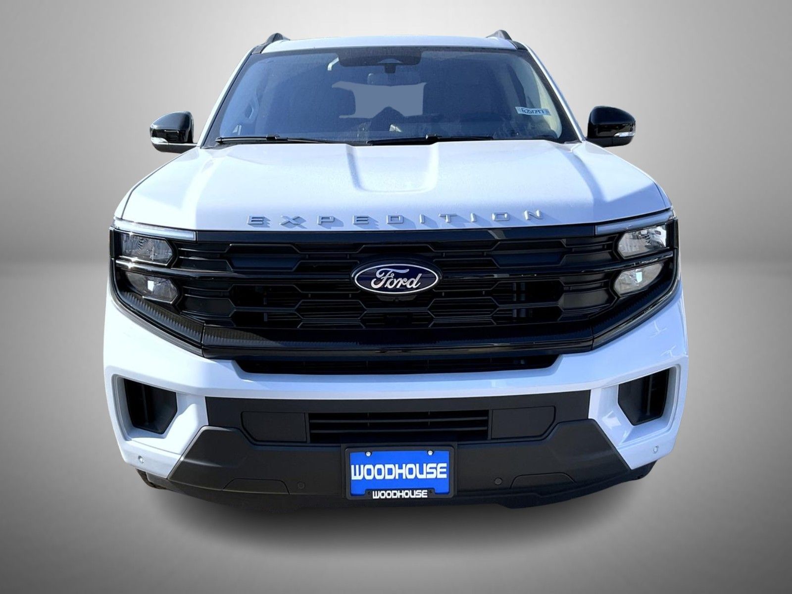 2025 Ford Expedition photo 2