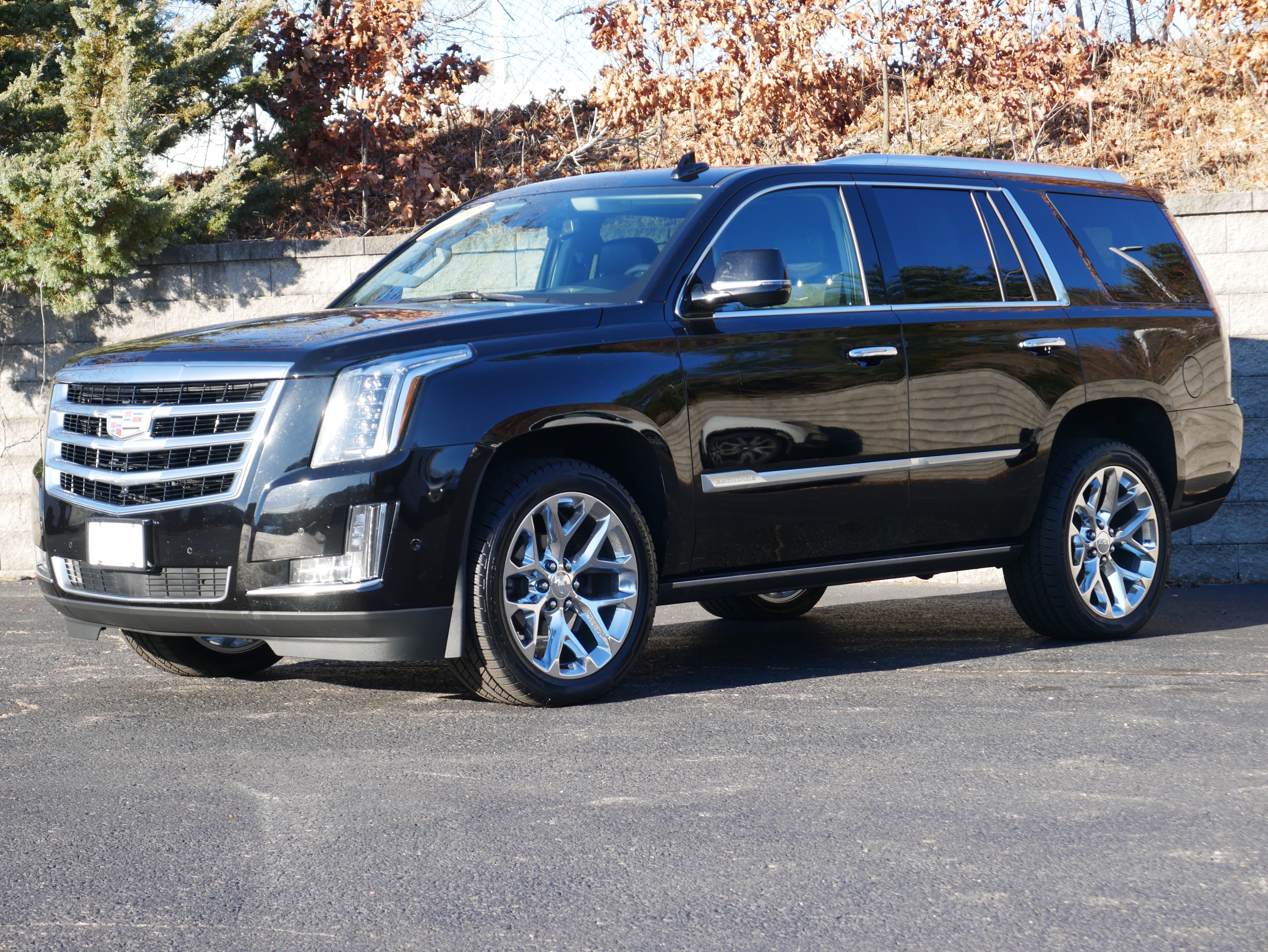 2020 Cadillac Escalade Premium Luxury's photo