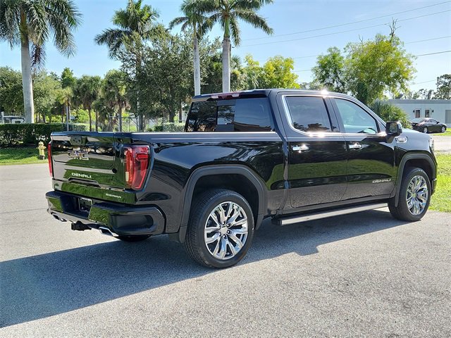 2025 Gmc Sierra 1500 Denali photo 4