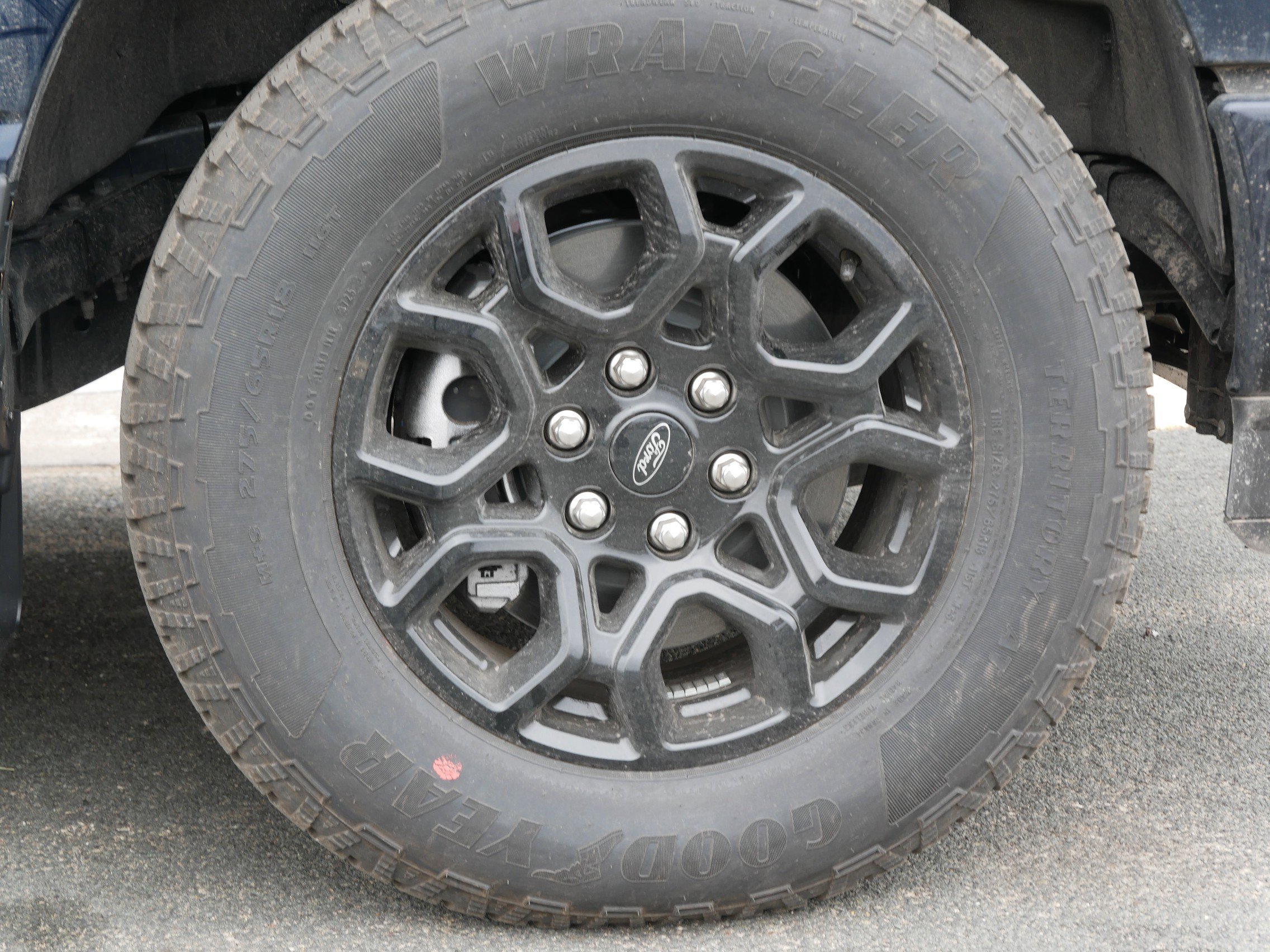 2025 Ford F-150 XLT photo 5