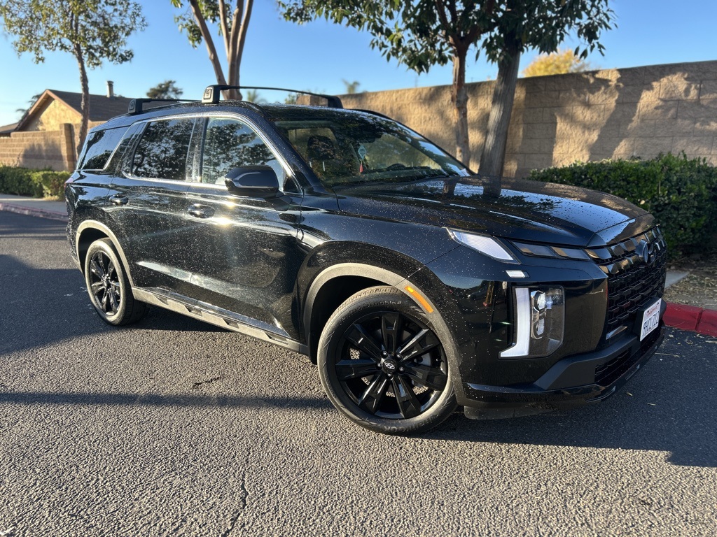 2024 Hyundai Palisade XRT's photo