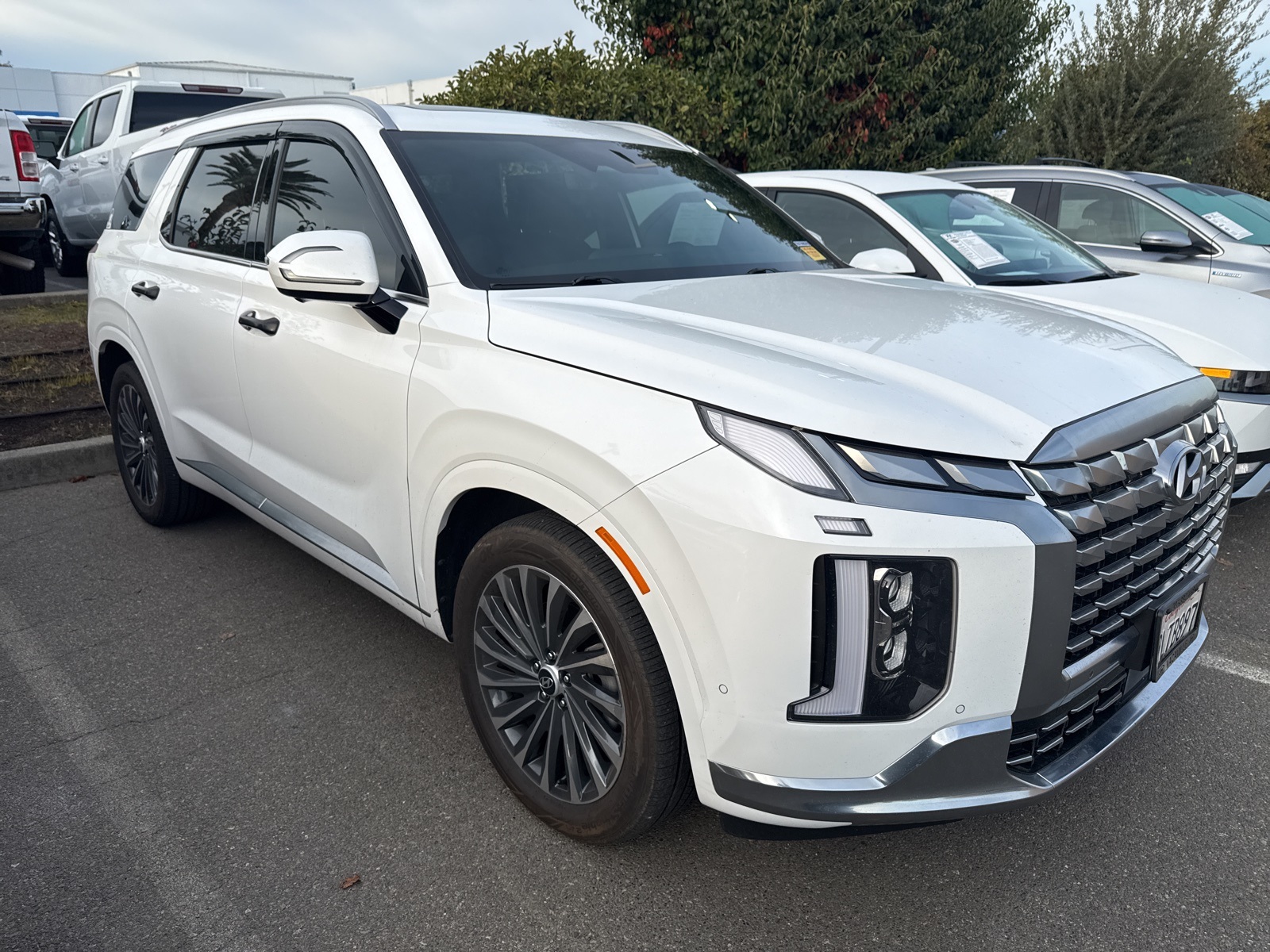 2024 Hyundai Palisade Calligraphy photo 3