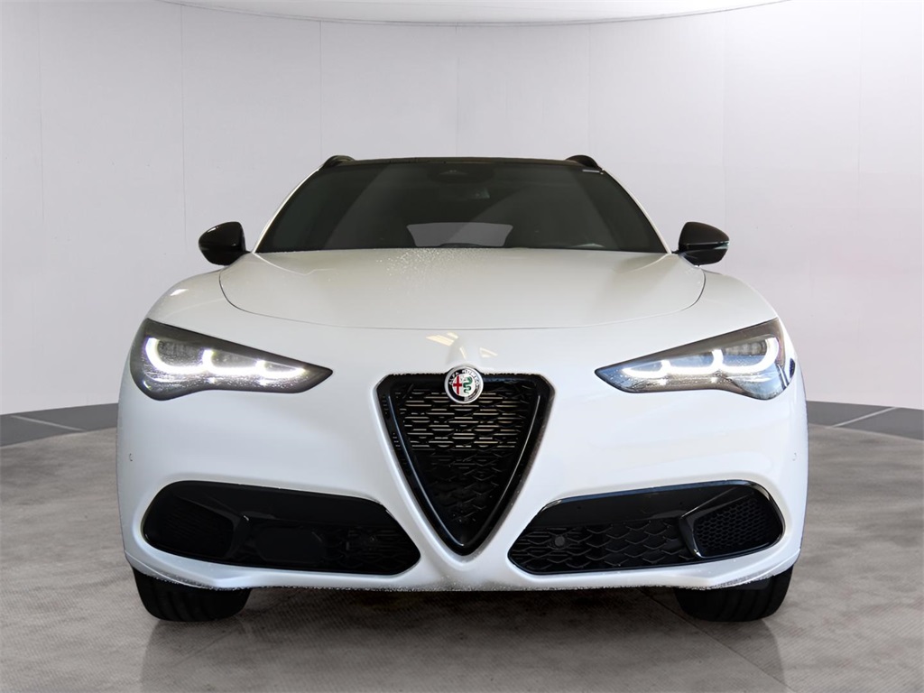 2025 Alfa Romeo Stelvio Tributo Italiano photo 2