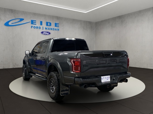 2020 Ford F-150 Raptor photo 4