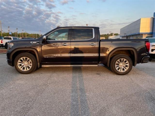 2023 Gmc Sierra 1500 Denali photo 4