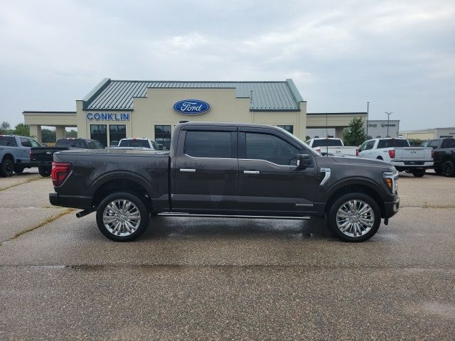 2024 Ford F-150 Platinum photo 19