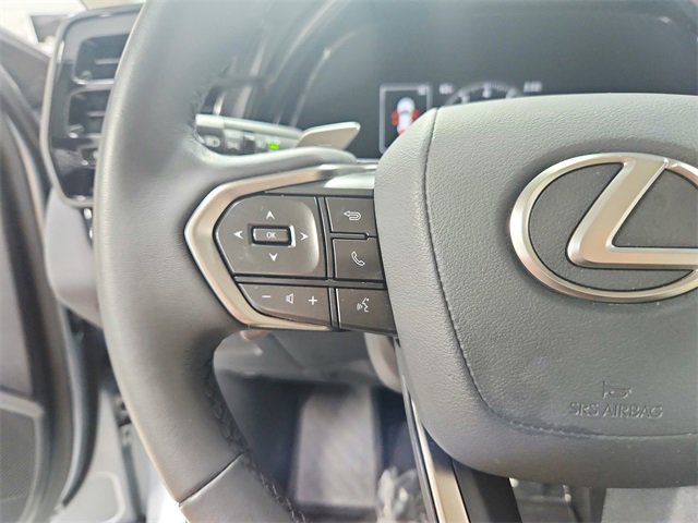 2024 Lexus RX 350 photo 20