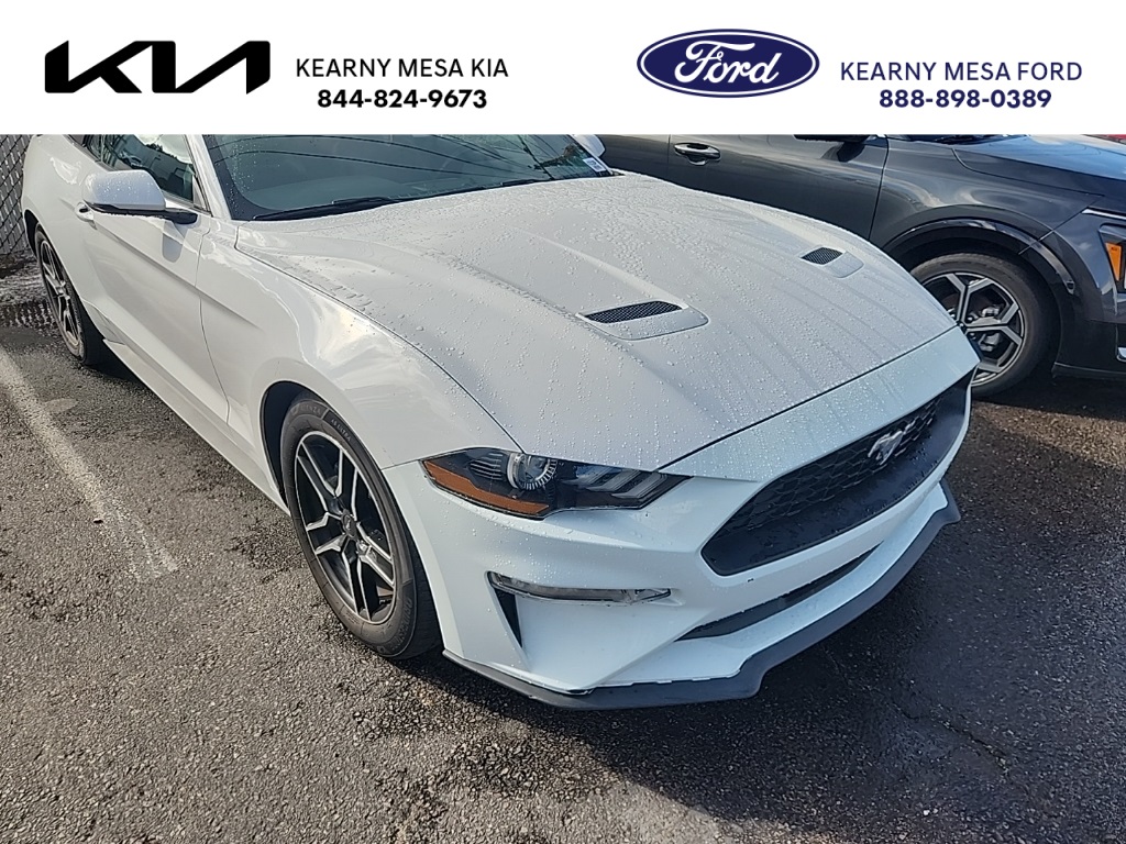 2019 Ford Mustang Mach 1's photo