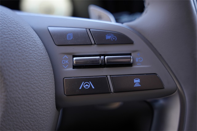 2024 Hyundai Palisade Calligraphy photo 11