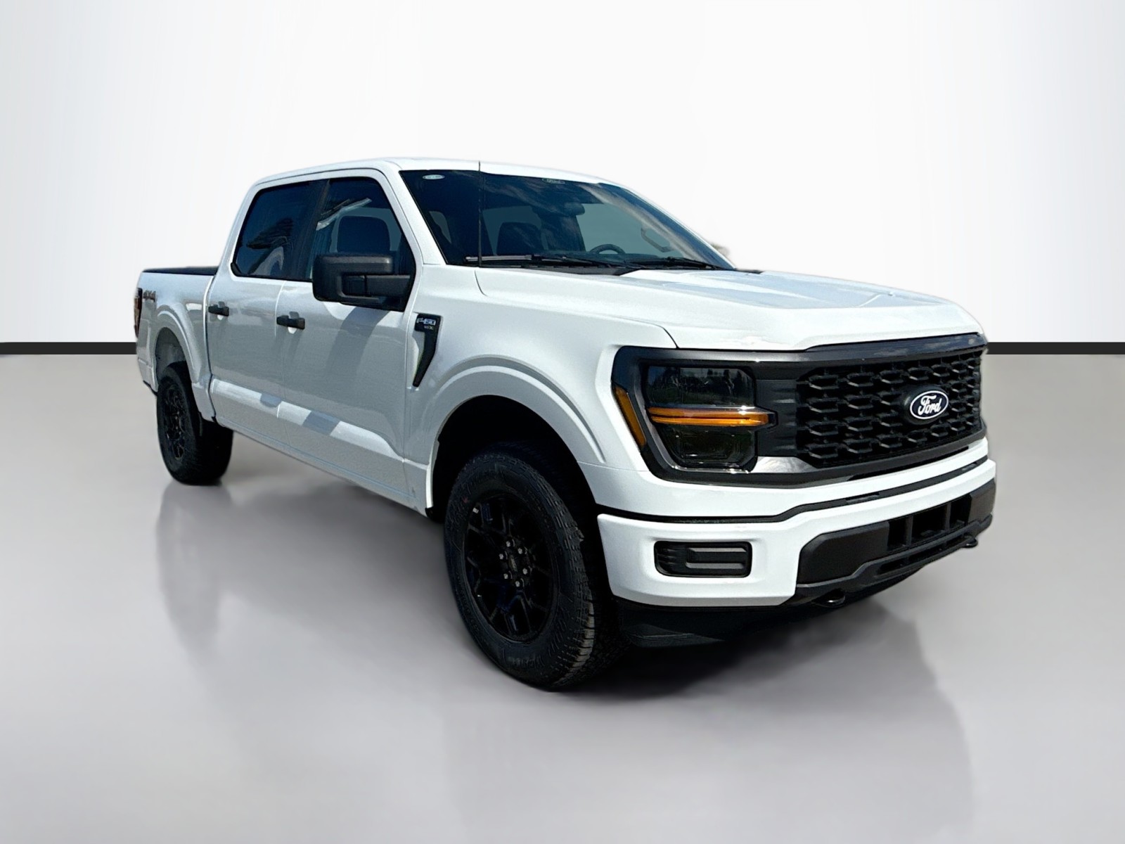 2025 Ford F-150 STX photo 3