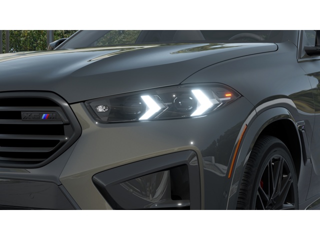 2026 Bmw X6 photo 3