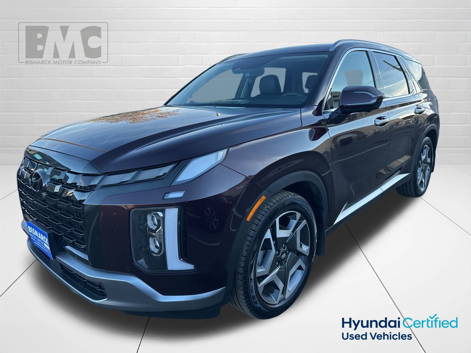 2023 Hyundai Palisade Limited's photo