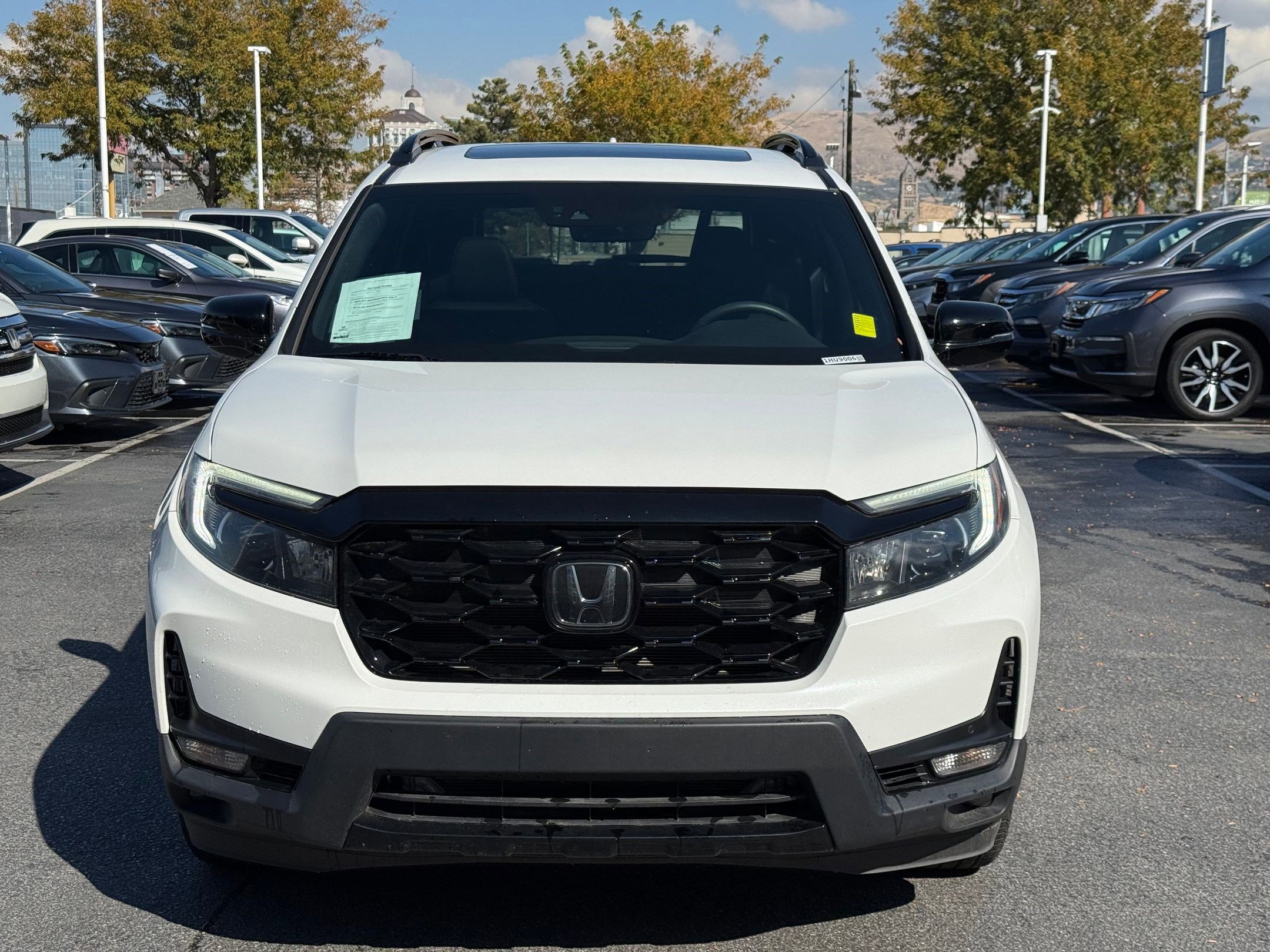 2022 Honda Passport Elite photo 8