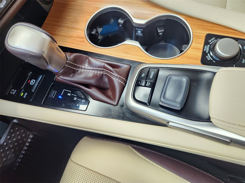 2019 Lexus RX 350L photo 15