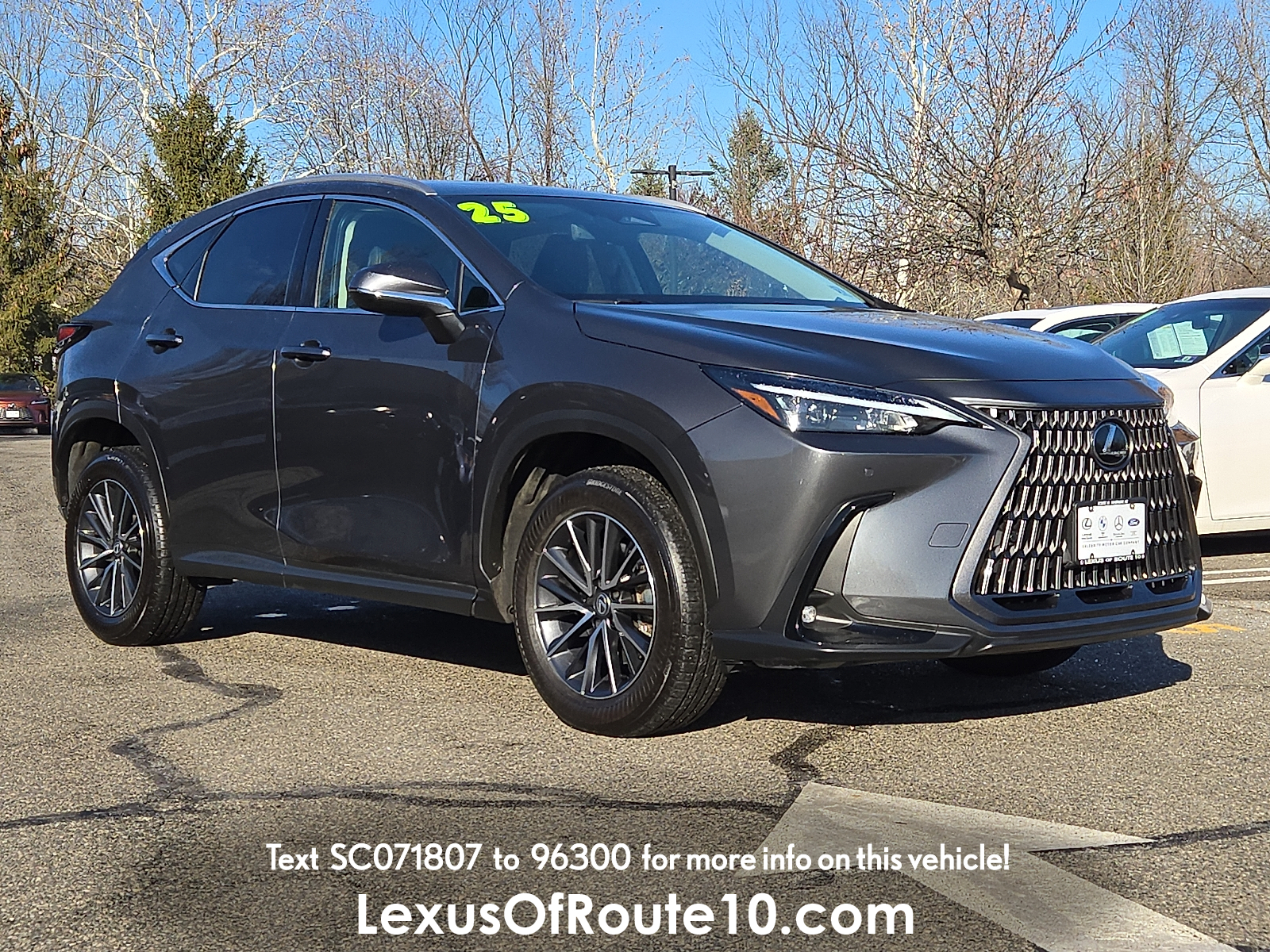 2025 Lexus NX 350's photo