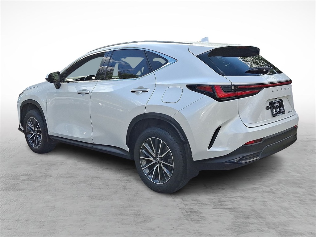 2024 Lexus NX 250 photo 7
