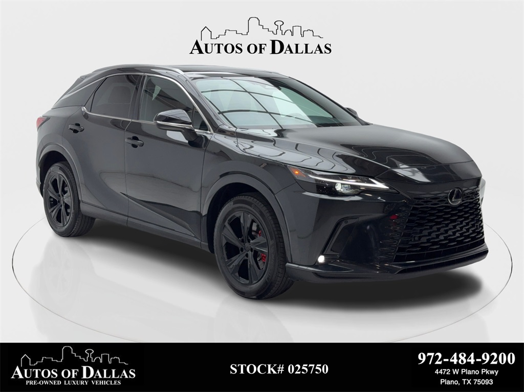 2024 Lexus RX 350's photo